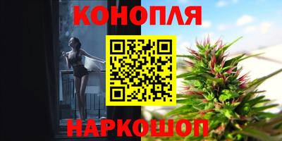 крисы Братск