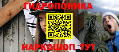 крисы Братск