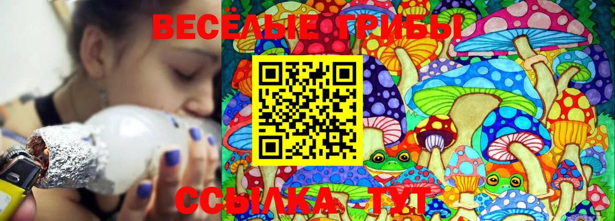 Архангельск  Галлюциногенные грибы мухоморы  Галлюциногенные грибы ЛСД  продажа наркотиков  Вход с VPN 